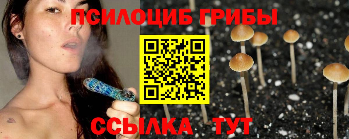 Галлюциногенные грибы прущие грибы  Вход с VPN  Серпухов 